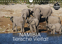 Kalender Namibia - Tierische Vielfalt (Planer) (Wandkalender 2023 DIN A4 quer) von Thomas Morper