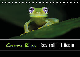 Kalender Costa Rica - Faszination Frösche (Tischkalender 2023 DIN A5 quer) von Kevin Eßer