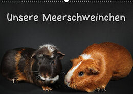 Kalender Unsere Meerschweinchen (Wandkalender 2023 DIN A2 quer) von Hermann Klecker