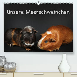 Kalender Unsere Meerschweinchen (Premium, hochwertiger DIN A2 Wandkalender 2023, Kunstdruck in Hochglanz) von Hermann Klecker
