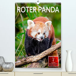 Kalender Roter Panda (Premium, hochwertiger DIN A2 Wandkalender 2023, Kunstdruck in Hochglanz) von Peter Roder
