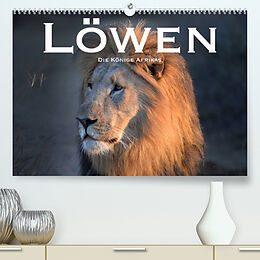Kalender Löwen. Die Könige Afrikas (Premium, hochwertiger DIN A2 Wandkalender 2023, Kunstdruck in Hochglanz) von Robert Styppaa