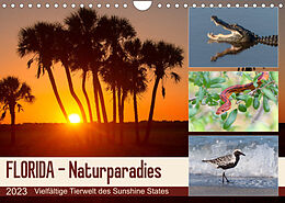 Kalender FLORIDA - Naturparadies (Wandkalender 2023 DIN A4 quer) von Kevin Eßer