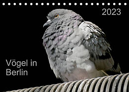 Kalender Vögel in Berlin (Tischkalender 2023 DIN A5 quer) von Verena Mahrhofer