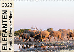 Kalender Elefanten - Sanfte Riesen Afrikas (Wandkalender 2023 DIN A3 quer) von Silvia Trüssel