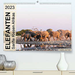 Kalender Elefanten - Sanfte Riesen Afrikas (Premium, hochwertiger DIN A2 Wandkalender 2023, Kunstdruck in Hochglanz) von Silvia Trüssel