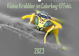 Kalender Kleine Krabbler im Colorkey-Effekt (Wandkalender 2023 DIN A3 quer) von Dany´s Blickwinkel