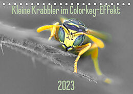 Kalender Kleine Krabbler im Colorkey-Effekt (Tischkalender 2023 DIN A5 quer) von Dany´s Blickwinkel