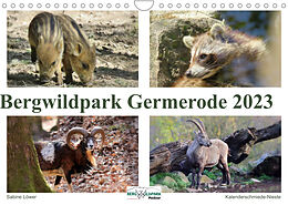 Kalender Bergwildpark Germerode (Wandkalender 2023 DIN A4 quer) von Sabine Löwer