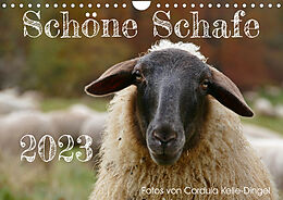 Kalender Schöne Schafe (Wandkalender 2023 DIN A4 quer) von Cordula Kelle-Dingel