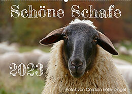 Kalender Schöne Schafe (Wandkalender 2023 DIN A2 quer) von Cordula Kelle-Dingel