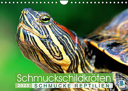 Kalender Schmuckschildkröten: Schmucke Reptilien (Wandkalender 2023 DIN A4 quer) von CALVENDO
