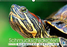 Kalender Schmuckschildkröten: Schmucke Reptilien (Wandkalender 2023 DIN A3 quer) von CALVENDO