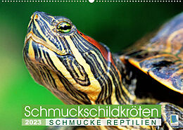 Kalender Schmuckschildkröten: Schmucke Reptilien (Wandkalender 2023 DIN A2 quer) von CALVENDO