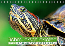 Kalender Schmuckschildkröten: Schmucke Reptilien (Tischkalender 2023 DIN A5 quer) von CALVENDO