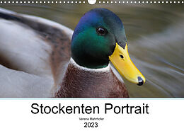 Kalender Stockenten Portrait (Wandkalender 2023 DIN A3 quer) von Verena Mahrhofer