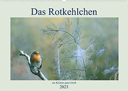 Kalender Das Rotkehlchen, ein Kleiner ganz Groß (Wandkalender 2023 DIN A2 quer) von Rufotos