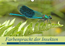 Kalender Farbenpracht der Insekten (Wandkalender 2023 DIN A3 quer) von Claudia Kleemann