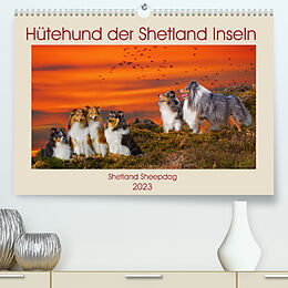 Kalender Hütehund der Shetland Inseln - Shetland Sheepdog (Premium, hochwertiger DIN A2 Wandkalender 2023, Kunstdruck in Hochglanz) von Sigrid Starick