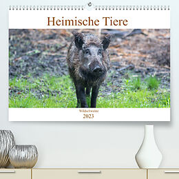 Kalender Heimische Tiere - Wildschweine (Premium, hochwertiger DIN A2 Wandkalender 2023, Kunstdruck in Hochglanz) von pixs:sell