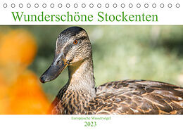 Kalender Wunderschöne Stockenten - Europäische Wasservögel (Tischkalender 2023 DIN A5 quer) von pixs:sell