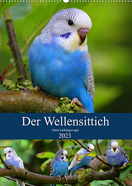 Kalender Der Wellensittich - Mein Lieblingsvogel (Wandkalender 2023 DIN A2 hoch) von Björn Bergmann