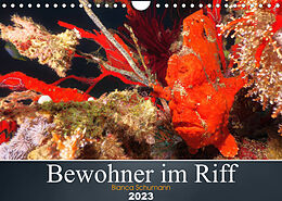 Kalender Bewohner im Riff (Wandkalender 2023 DIN A4 quer) von Bianca Schumann