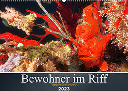 Kalender Bewohner im Riff (Wandkalender 2023 DIN A2 quer) von Bianca Schumann