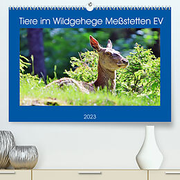 Kalender Tiere im Wildgehege Meßstetten EV (Premium, hochwertiger DIN A2 Wandkalender 2023, Kunstdruck in Hochglanz) von N N