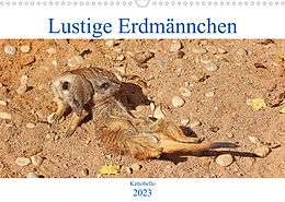 Kalender Lustige Erdmännchen (Wandkalender 2023 DIN A3 quer) von Kattobello