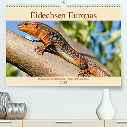 Kalender Eidechsen Europas (Premium, hochwertiger DIN A2 Wandkalender 2023, Kunstdruck in Hochglanz) von Wolfgang Simlinger