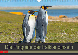Kalender Die Pinguine der Falklandinseln (Wandkalender 2023 DIN A3 quer) von Norbert W. Saul