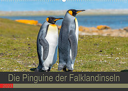 Kalender Die Pinguine der Falklandinseln (Wandkalender 2023 DIN A2 quer) von Norbert W. Saul