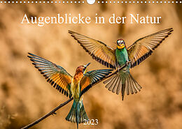 Kalender Augenblicke in der Natur (Wandkalender 2023 DIN A3 quer) von Philipp Masserer