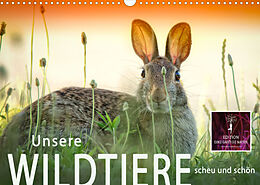 Kalender Unsere Wildtiere - scheu und schön (Wandkalender 2023 DIN A3 quer) von Peter Roder
