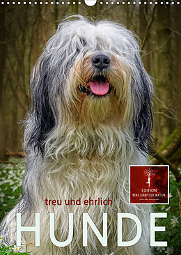 Kalender Hunde - treu und ehrlich (Wandkalender 2023 DIN A3 hoch) von Peter Roder
