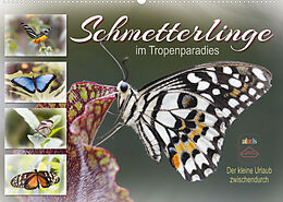 Kalender Schmetterlinge im Tropenparadies (Wandkalender 2023 DIN A2 quer) von Sabine Löwer