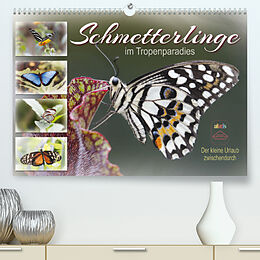Kalender Schmetterlinge im Tropenparadies (Premium, hochwertiger DIN A2 Wandkalender 2023, Kunstdruck in Hochglanz) von Sabine Löwer