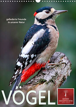 Kalender Vögel - gefiederte Freunde in unserer Natur (Wandkalender 2023 DIN A3 hoch) von Peter Roder