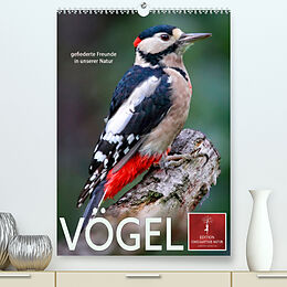 Kalender Vögel - gefiederte Freunde in unserer Natur (Premium, hochwertiger DIN A2 Wandkalender 2023, Kunstdruck in Hochglanz) von Peter Roder