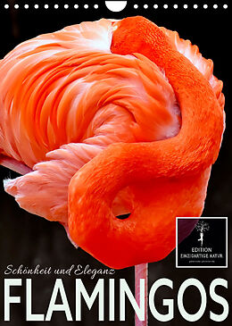 Kalender Flamingos - Eleganz und Schönheit (Wandkalender 2023 DIN A4 hoch) von Peter Roder