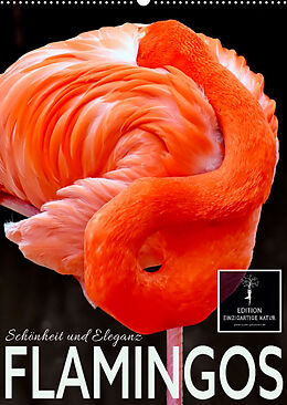 Kalender Flamingos - Eleganz und Schönheit (Wandkalender 2023 DIN A2 hoch) von Peter Roder