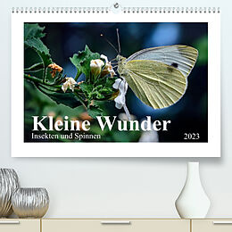 Kalender Kleine Wunder - Insekten und Spinnen (Premium, hochwertiger DIN A2 Wandkalender 2023, Kunstdruck in Hochglanz) von Michael Schöne