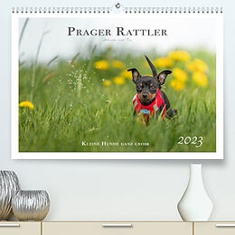Kalender Prager Rattler - Black and Tan - Kleine Hunde ganz groß (Premium, hochwertiger DIN A2 Wandkalender 2023, Kunstdruck in Hochglanz) von Julo - Seelenbilder