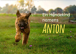 Kalender Ein Hundekind namens Anton (Wandkalender 2023 DIN A2 quer) von Christiane Calmbacher