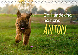 Kalender Ein Hundekind namens Anton (Tischkalender 2023 DIN A5 quer) von Christiane Calmbacher
