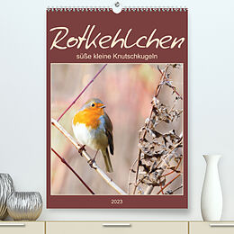 Kalender Rotkehlchen, süße kleine Knutschkugeln (Premium, hochwertiger DIN A2 Wandkalender 2023, Kunstdruck in Hochglanz) von Sabine Löwer