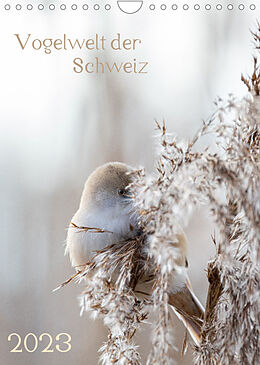 Kalender Vogelwelt der Schweiz (Wandkalender 2023 DIN A4 hoch) von Andrea Schüpbach