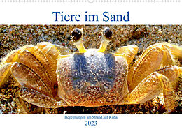 Kalender Tiere im Sand - Begegnungen am Strand auf Kuba (Wandkalender 2023 DIN A2 quer) von Henning von Löwis of Menar