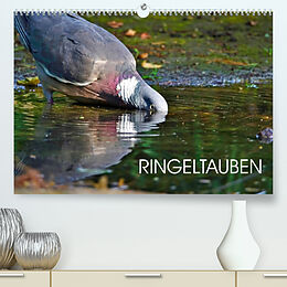 Kalender Ringeltauben (Premium, hochwertiger DIN A2 Wandkalender 2023, Kunstdruck in Hochglanz) von Anette Jäger